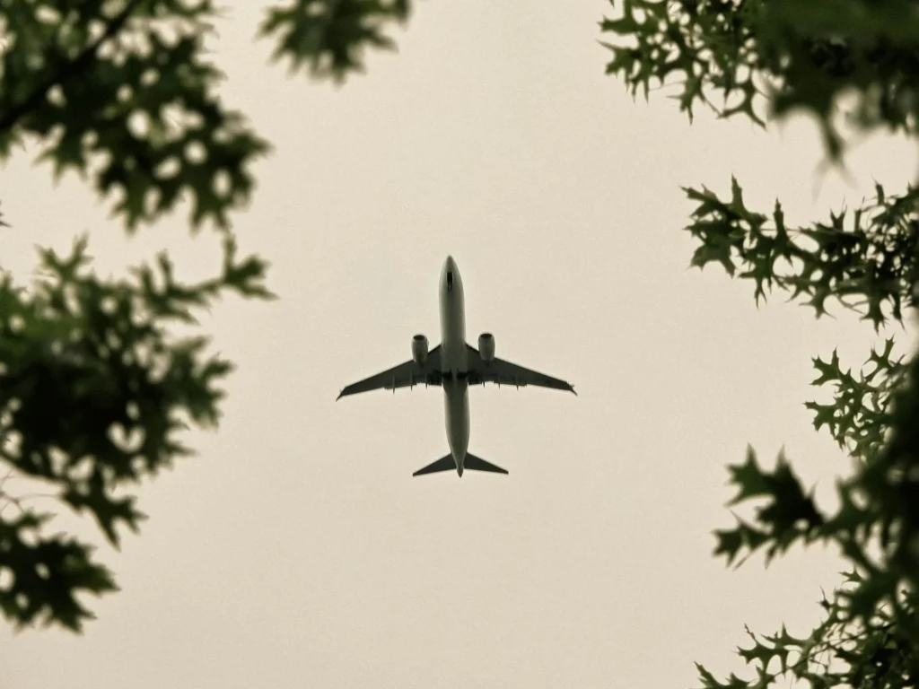 green travel